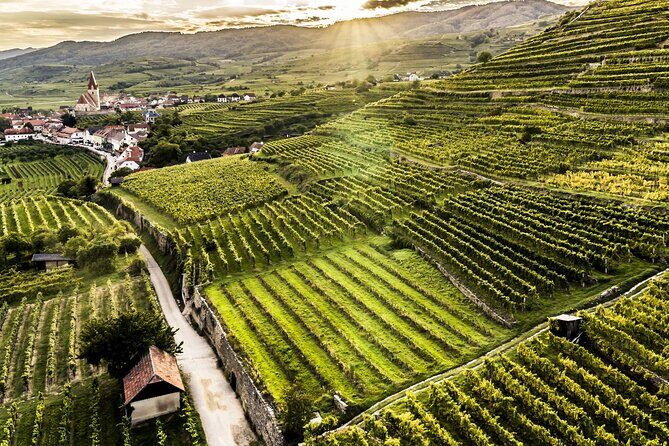 3 Castles & Wine Private Tour in Wachau Valley (incl. Melk Abbey) - Melk Abbey Finale: Baroque Church, Gold Light, and Valley Views