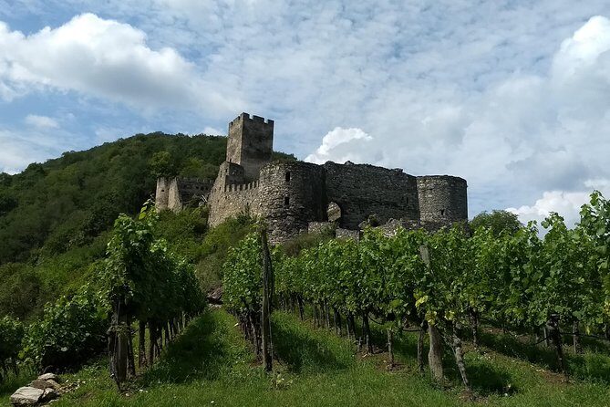 3-Hour Private Hiking Tour to historic places around Spitz in Wachau Valley - Why Spitz in the Wachau feels like a real detour from Vienna