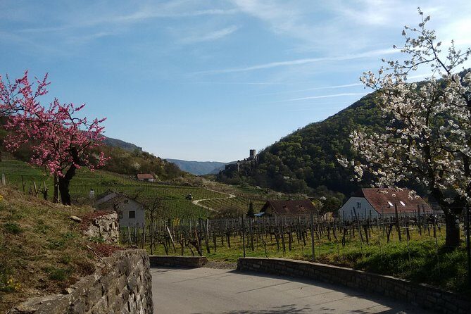 3-Hour Private Hiking Tour to historic places around Spitz in Wachau Valley - Price and what $277.29 per person really buys you