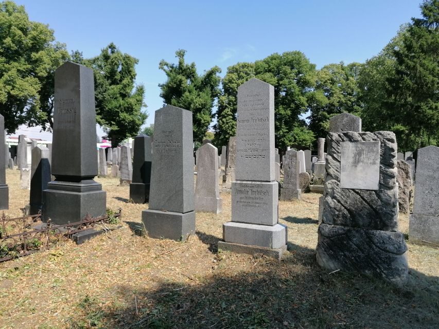 3-Hour Walking Tour of Vienna Central Cemetery - Who this tour suits best (and who should skip it)