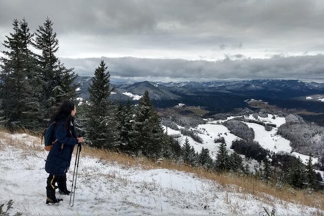 4-Hour Private Alpine Great George at High Wall Mountain from Vienna - Quick take on the Hohe Wand rear-wall hike