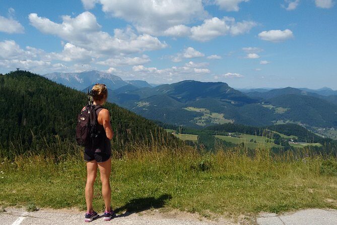 4-Hour Private Alpine Great George at High Wall Mountain from Vienna - Vienna to Hohe Wand: the day-trip setup that makes it easy