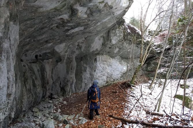 4-Hour Private Alpine Great George at High Wall Mountain from Vienna - Great Gorge in the heart of the hike: why the scenery feels different