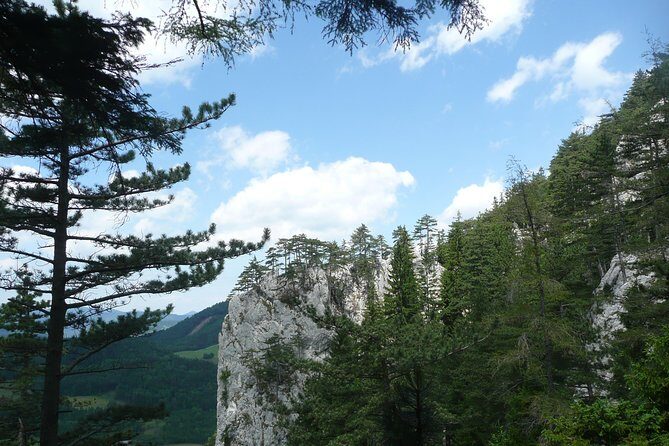 4-Hour Private Alpine Great George at High Wall Mountain from Vienna - Price and logistics from Vienna’s Hauptbahnhof