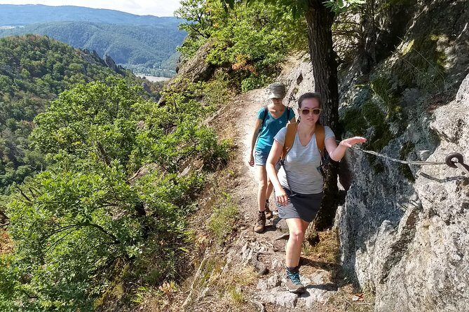 4-Hour Private Alpine Hiking Tour 'In the footsteps of king Lionheart' - The 4-hour hike: sure-footedness, route options, and the real safety story