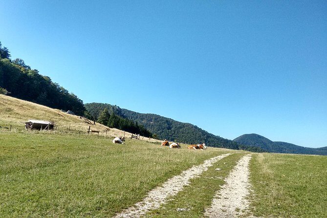 4-Hour Private Alpine Hiking Tour 'Matterhorn of the Prealps' - The hike itself: why Gaisstein feels alpine on foot