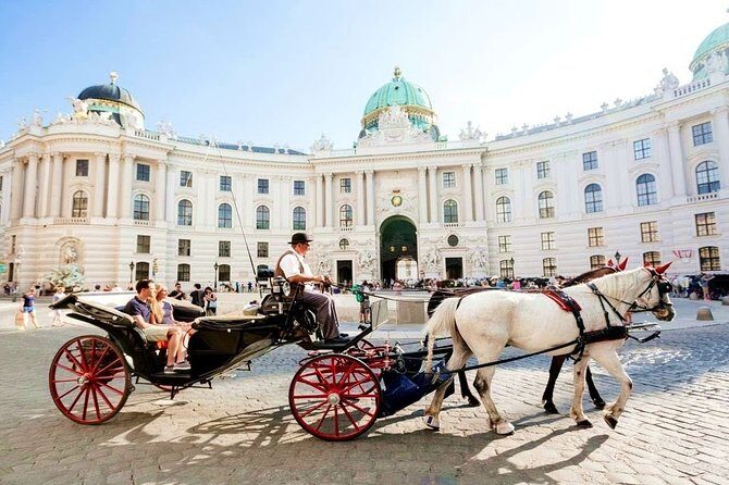 Airport Transfer: Vienna to Vienna Airport VIE by Business Car - Should you book this Vienna-to-VIE car transfer?
