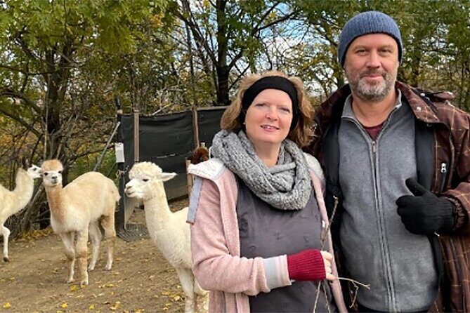 Alpaca and llama hike Moedling near Vienna - Matching With Alpacas and Llamas: What the Animals Bring to the Day