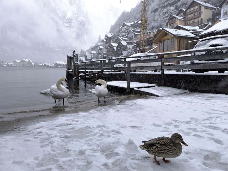 Alpine Beauty & Fairytale Towns: Hallstatt & Salzburg Tour - Key things that make this tour worth your attention