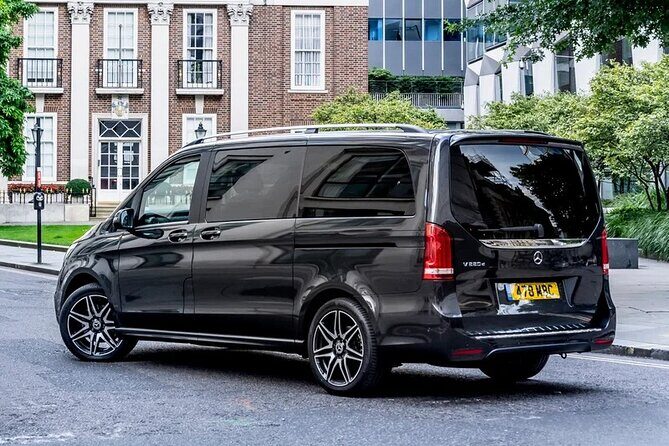 Arrival Private Transfer from Vienna Airport VIE to Vienna City by Luxury Van - Flight Tracking and Delays: Why This Pickup Works When Timing Slips