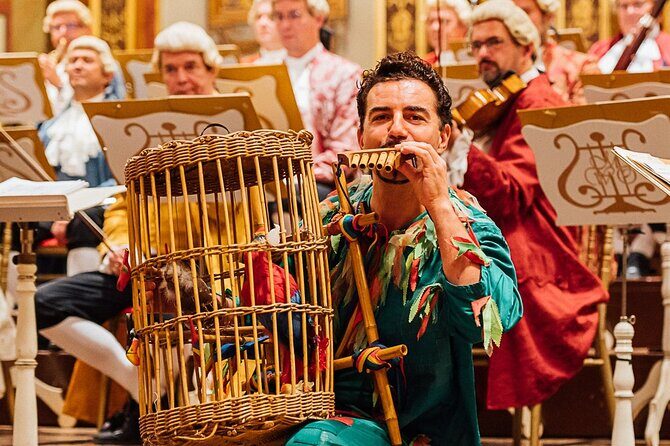 Austrian Delights: 3-course Austrian Dinner and Concert at Musikverein Vienna - Musikverein concert hall: seating categories and your real view
