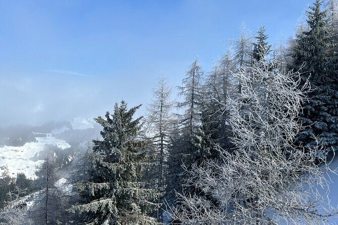 Austrian Hidden Gem Tour: The Most Beautiful Villages - Karwendel-Bergbahn cable car option and what to do when it’s closed