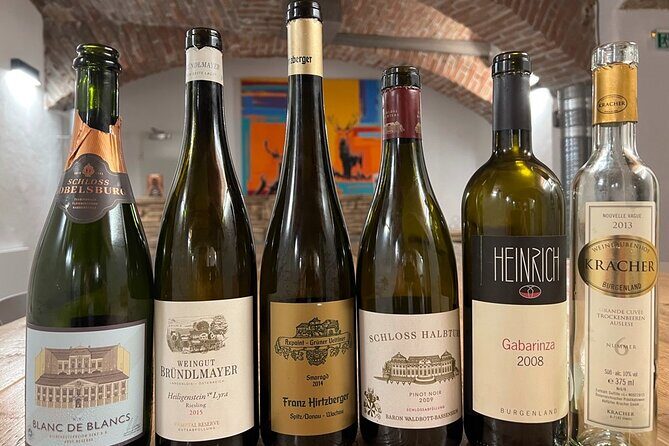 Austrian Wine Tasting - Should You Book This Austrian Wine Tasting in Vienna?