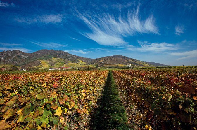 Cesky Krumlov and Wachau Danube Valley Tour from Vienna - The coach ride through Wachau: use it for orientation