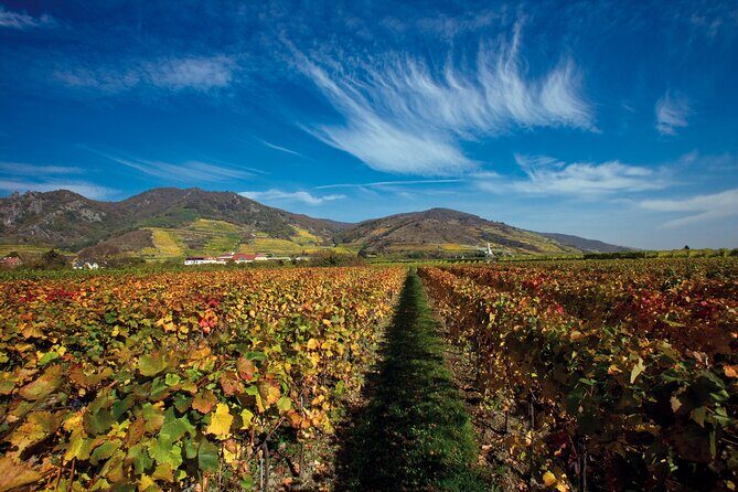 Cesky Krumlov and Wachau Danube Valley Tour from Vienna - Crossing toward the Czech Republic