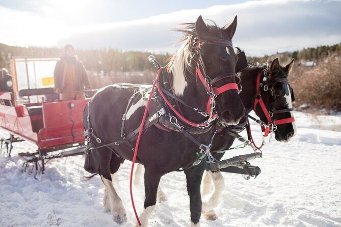 Christmas Horse-Drawn Sleigh/Carriage Ride from Salzburg - Key things to know before you go