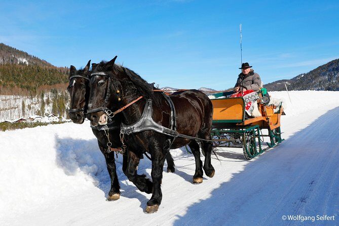 Christmas Horse-Drawn Sleigh/Carriage Ride from Salzburg - Lunch in Ramsau: what’s included and what you should budget