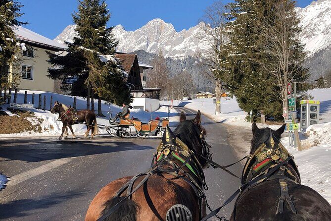 Christmas Horse-Drawn Sleigh/Carriage Ride from Salzburg - Who should book this Christmas sleigh trip (and who might not)