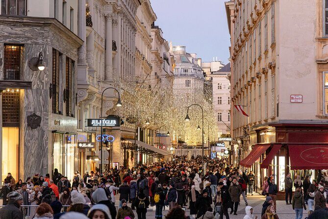 Christmas Walk Vienna : 5 Markets & Old Town in 3h (EN/DE) - Stop 3: MuseumsQuartier Wien for unusual eats and a hip mood