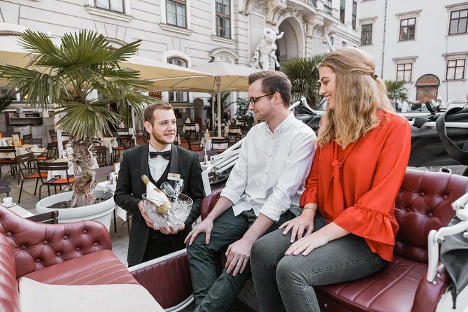 City Sightseeing Tour in an Electro Vintage Car (up to 5 people) - Vienna Private Sightseeing by Car: Who This Is Best For