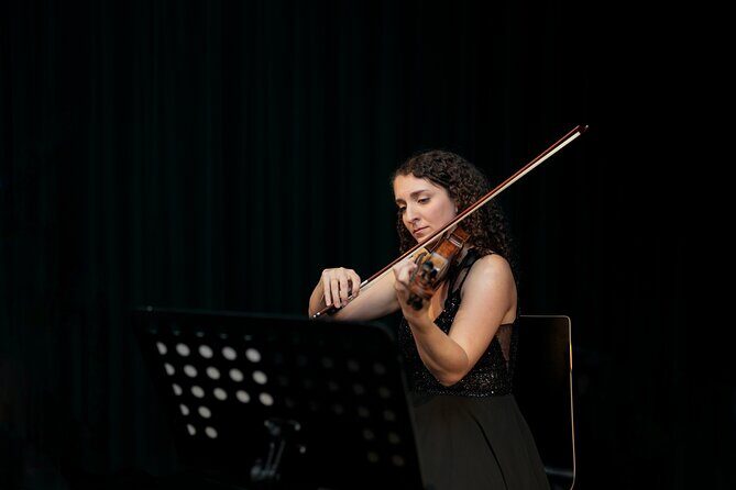 Concert at House of Music Vienna: Mozart, Strauss & the Masters - Logistics that matter: mobile ticket, check-in, and finding your seat