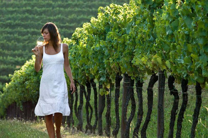Countryside Half Day Wine Tour near Vienna - Lunch or Dinner Included: Why This Meal Option Is Part of the Value