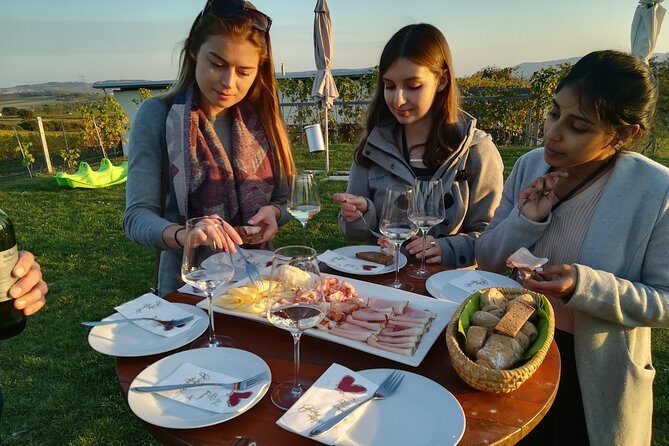 Countryside Half Day Wine Tour near Vienna - Wineries, Grapes, and the Tasting Game (Without the Wine Snob Stuff)