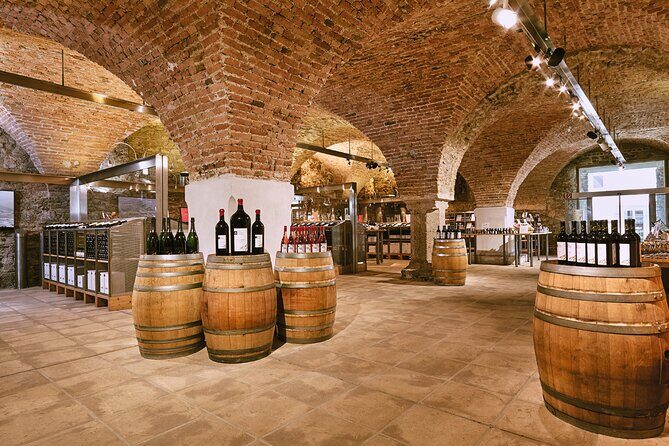 E-Bike Wine Culture Tour - Who should book this, and who should skip it