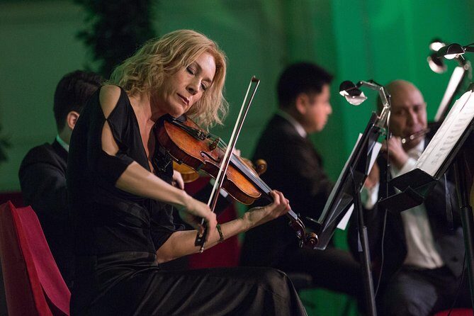 Exclusive Evening at Schönbrunn Palace: After-Hours Audiotour, Dinner, Concert - Mozart and Strauss in the Orangery: seating, sound, and timing reality