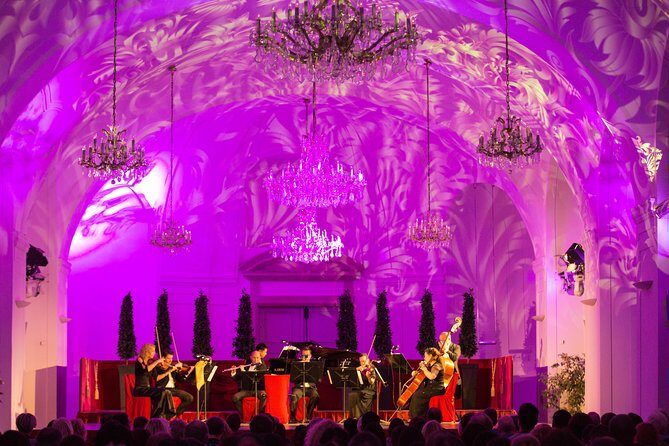 Exclusive Evening at Schönbrunn Palace: After-Hours Audiotour, Dinner, Concert - Meeting point and timing: how to avoid the rocky start