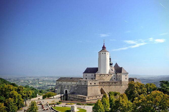 Forchtenstein Castle Guided Tour - Kunstkammer-style curiosities and Ottoman booty