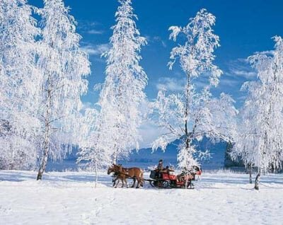 From Salzburg: Ramsau Day Trip with 1-hour Carriage Ride - Quick hits before you go