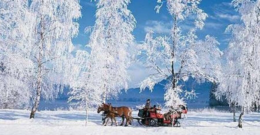 From Salzburg Romantic Carriage Ride through the Countryside - The 4-Hour Schedule: Mirabell Pickup, Lake Time, and Back to Salzburg