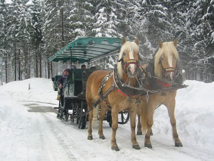 From Salzburg Romantic Carriage Ride through the Countryside - St Wolfgang: Coffee, Winter Walking, and Lake Views You Can Actually Take In
