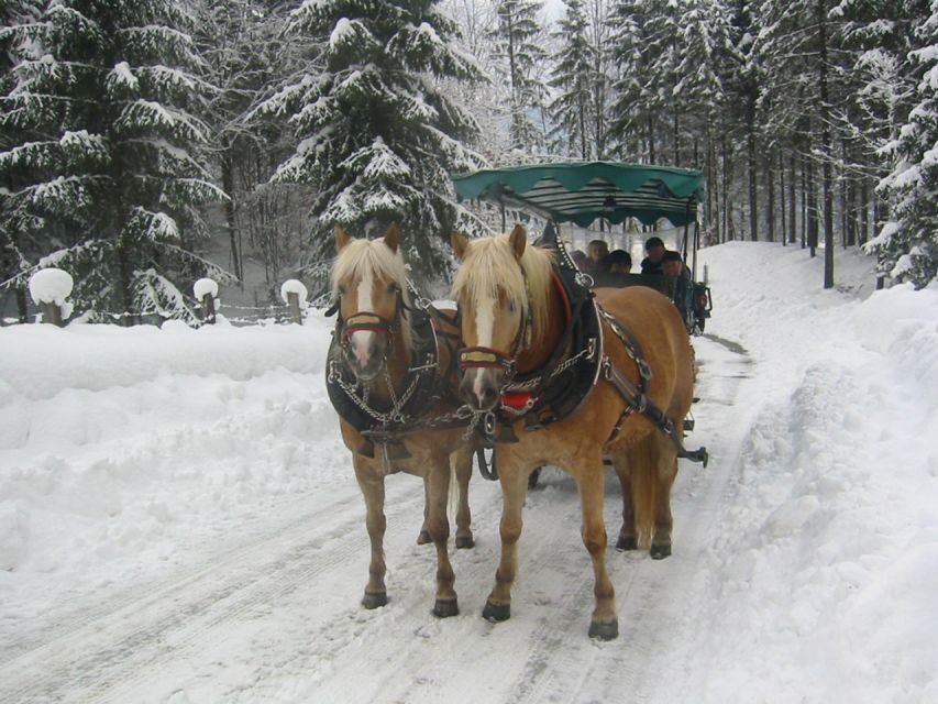 From Salzburg Romantic Carriage Ride through the Countryside - Christmas Markets Season: A European Bonus If Your Dates Line Up