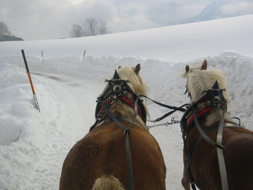 From Salzburg Romantic Carriage Ride through the Countryside - Guides Make the Difference: What You’ll Learn While You Ride