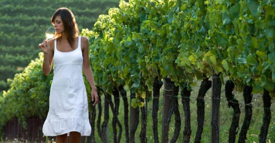From Vienna: Half-day Countryside Wine Tour with Meal - Vienna to Weinviertel: The Half-Day Plan That Actually Works
