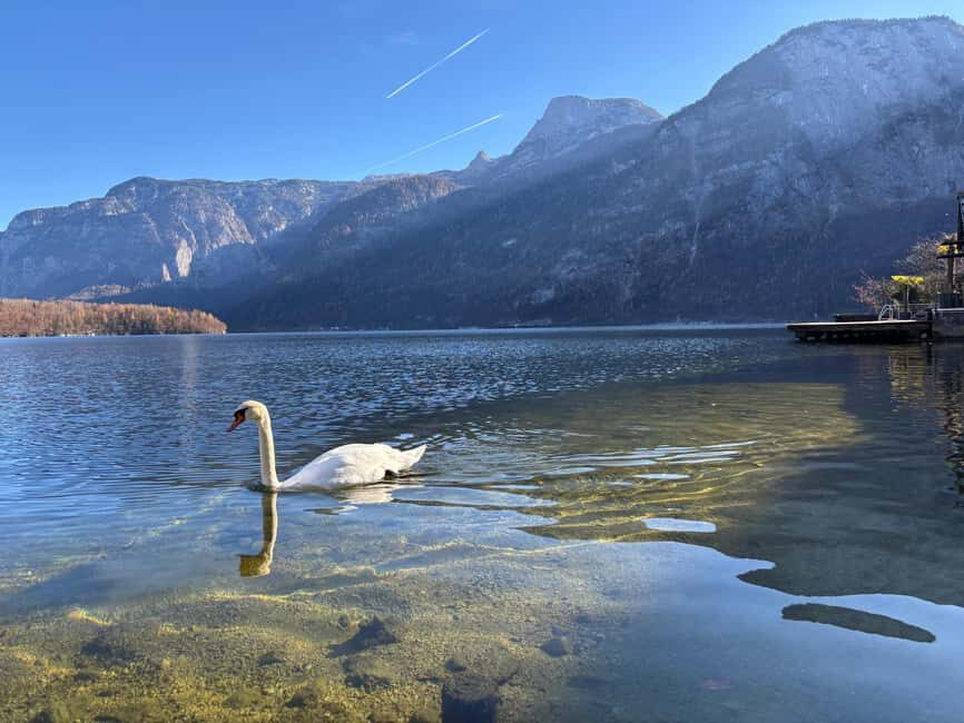 From Vienna: Traunkirchen, Hallstatt & Salzburg Day Trip - Who this tour fits best (and who should skip)