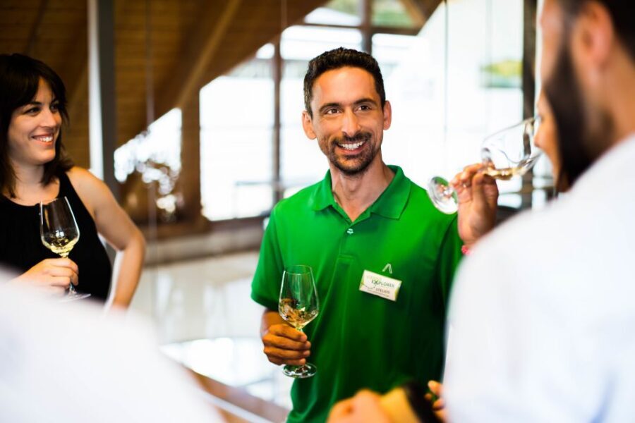 From Vienna: Wachau Valley Day Tour with Wine Tasting - What the wine tastings really mean (so you taste better)