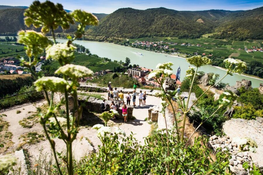 From Vienna: Wachau Valley Day Tour with Wine Tasting - The Danube cruise from Spitz to Melk: the relaxing reset