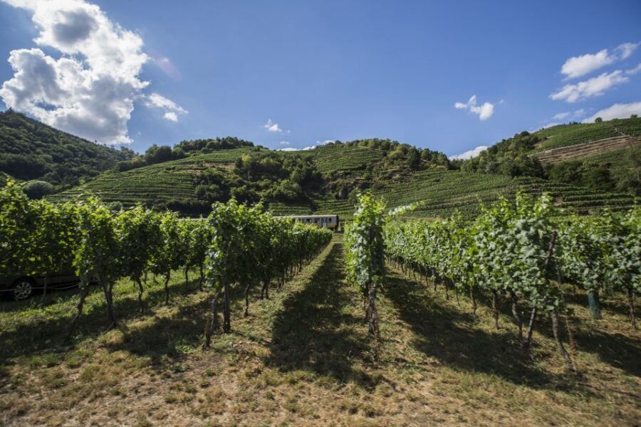 Grape Grazing: Wachau Valley Winery Biking Tour - Grape Grazing: What Makes This Wachau Tour Worth Your Time