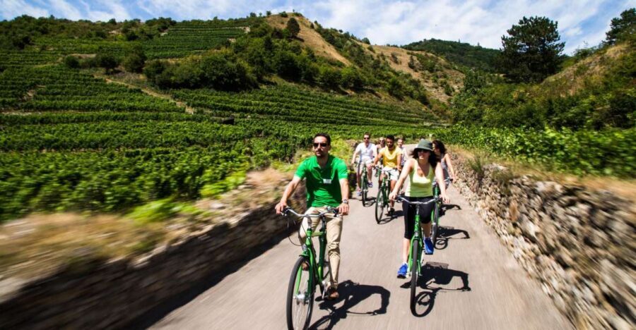 Grape Grazing: Wachau Valley Winery Biking Tour - Rolling Out From Vienna: The Simple Plan That Gets You There Fast