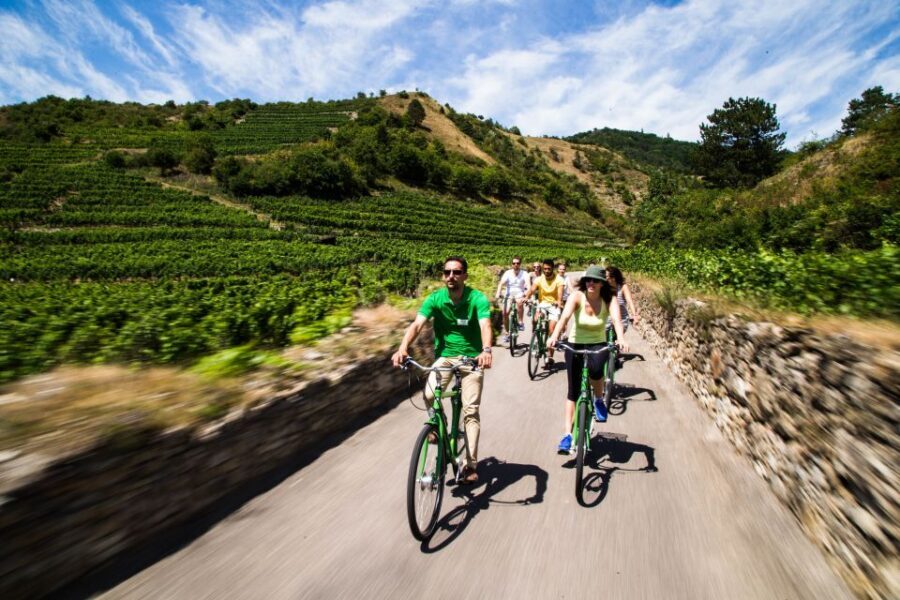Grape Grazing: Wachau Valley Winery Biking Tour - Dürnstein Wine Tasting: A UNESCO Town With Richard the Lionheart Energy