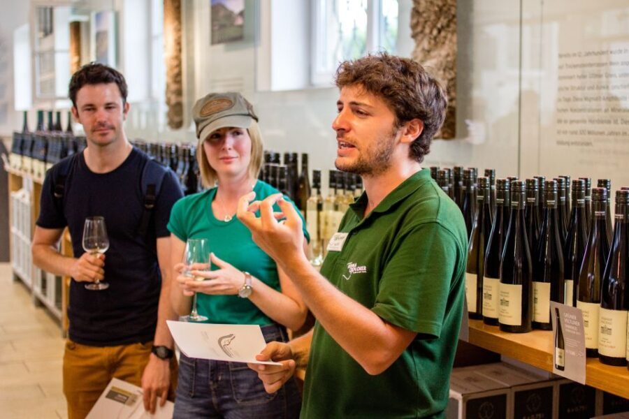 Grape Grazing: Wachau Valley Winery Biking Tour - Lunch in Dürnstein: Simple, Local, and a Real Decision Point
