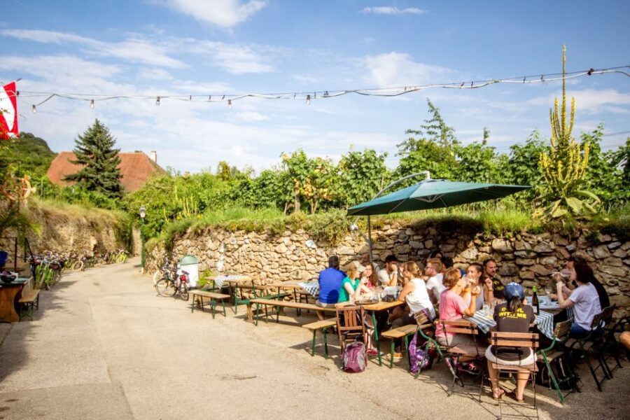 Grape Grazing: Wachau Valley Winery Biking Tour - The Return Ride to Krems and the Peaceful Finish