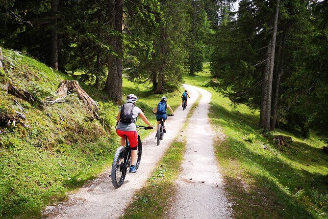 Guided e-bike tour of the alpine pastures in the Salzkammergut - Riding the Salzkammergut: where the day feels easy but the mountains don’t