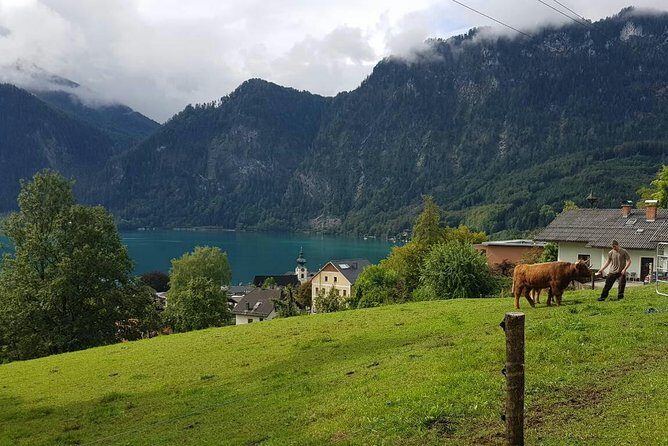 Hallstatt Small-Group Day Trip from Vienna - Unterach am Attersee and the Klimt village stop