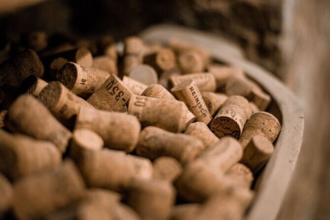 Hidden Wine Cellars Vienna - on the tracks of the Viennese wines - Practical tips to make it smoother