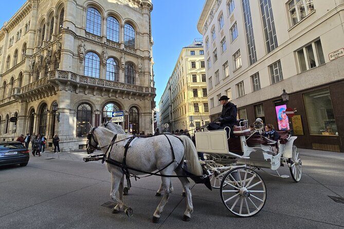 Highlights of Vienna in a Historical & Cultural 3h Walking Tour - A fast, smart way to get oriented in Vienna’s core