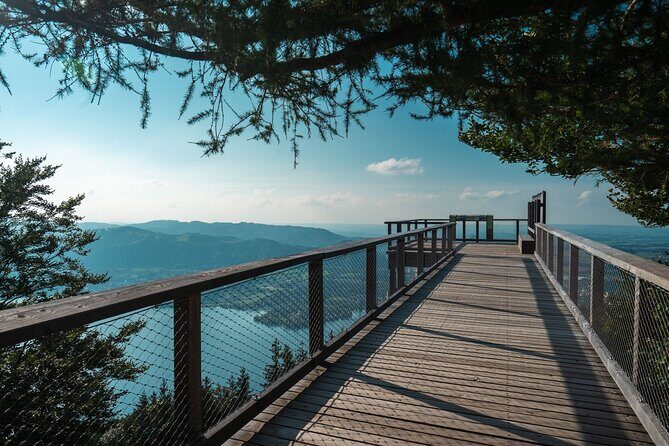 Immersive Private Tour: Hallstatt After the Crowds & Treetop Path - Your private team: driver comfort plus a guide who steers the day